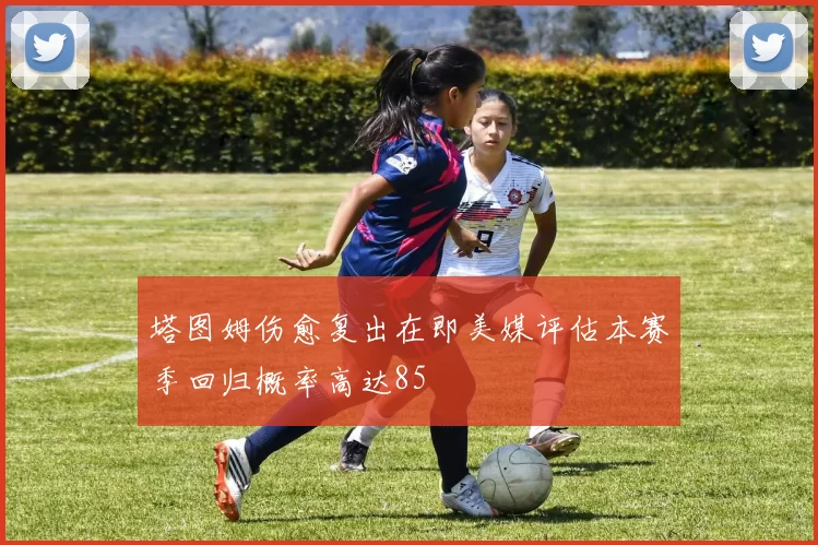 塔图姆伤愈复出在即美媒评估本赛季回归概率高达85